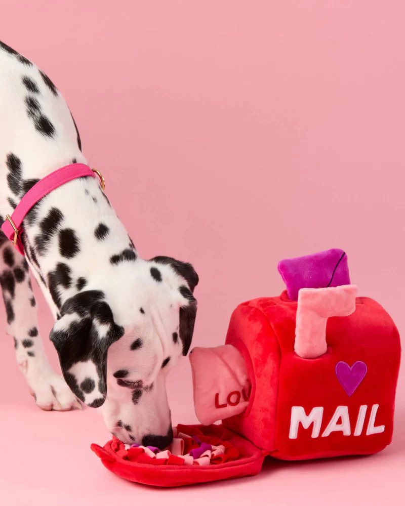 Love Letters Interactive Snuffle Dog Toy - Image 4