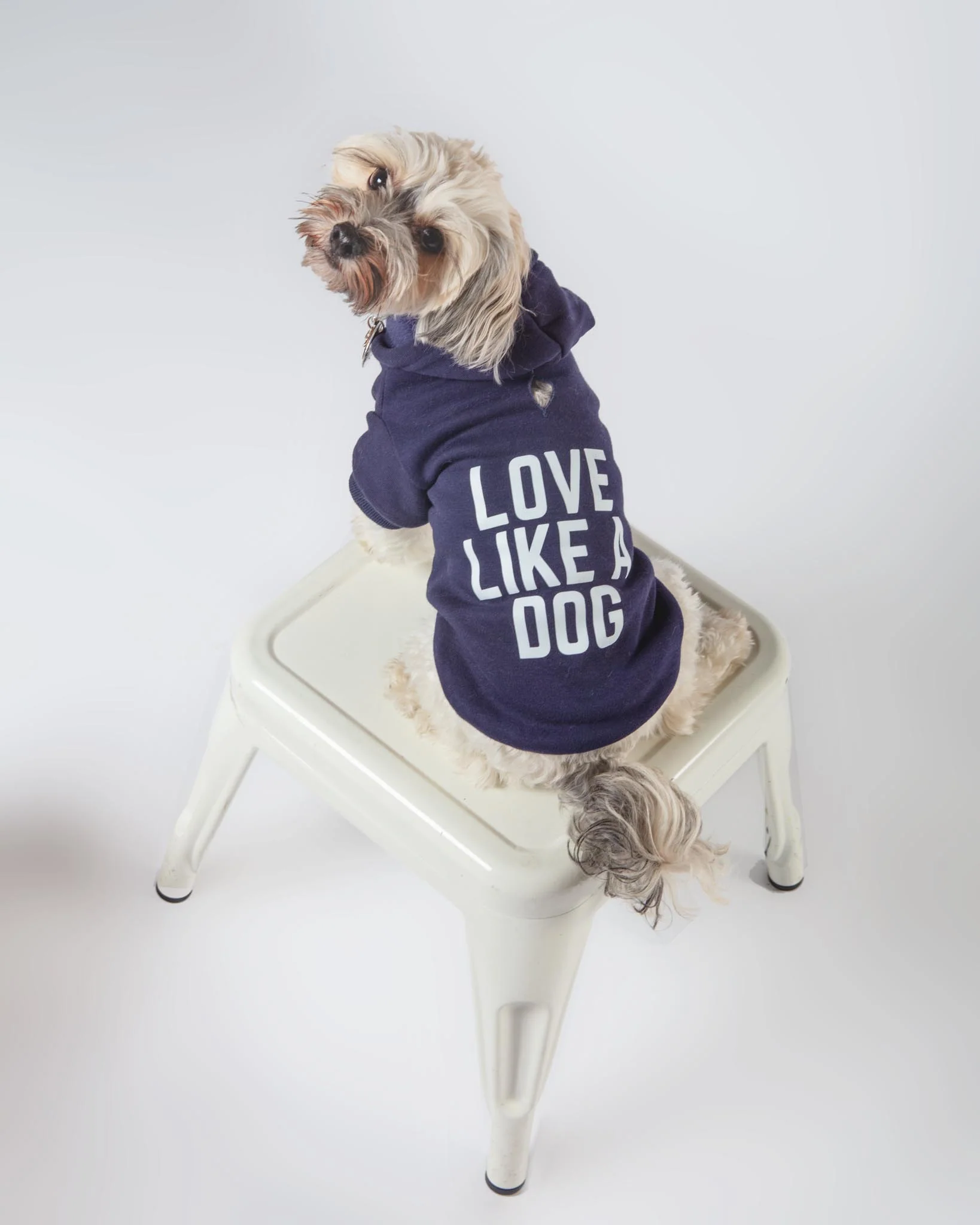 *Love Like a Dog* Graphic Hoodie (Proceeds Benefit the ACLU)