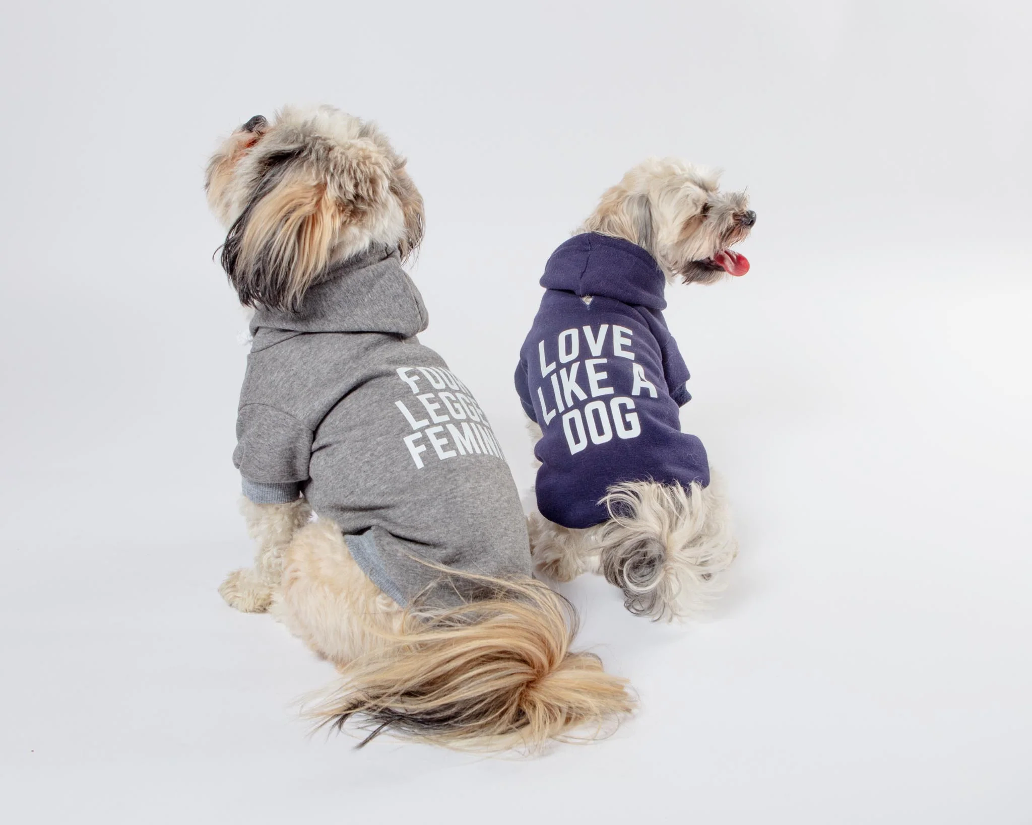 *Love Like a Dog* Graphic Hoodie (Proceeds Benefit the ACLU) - Image 3