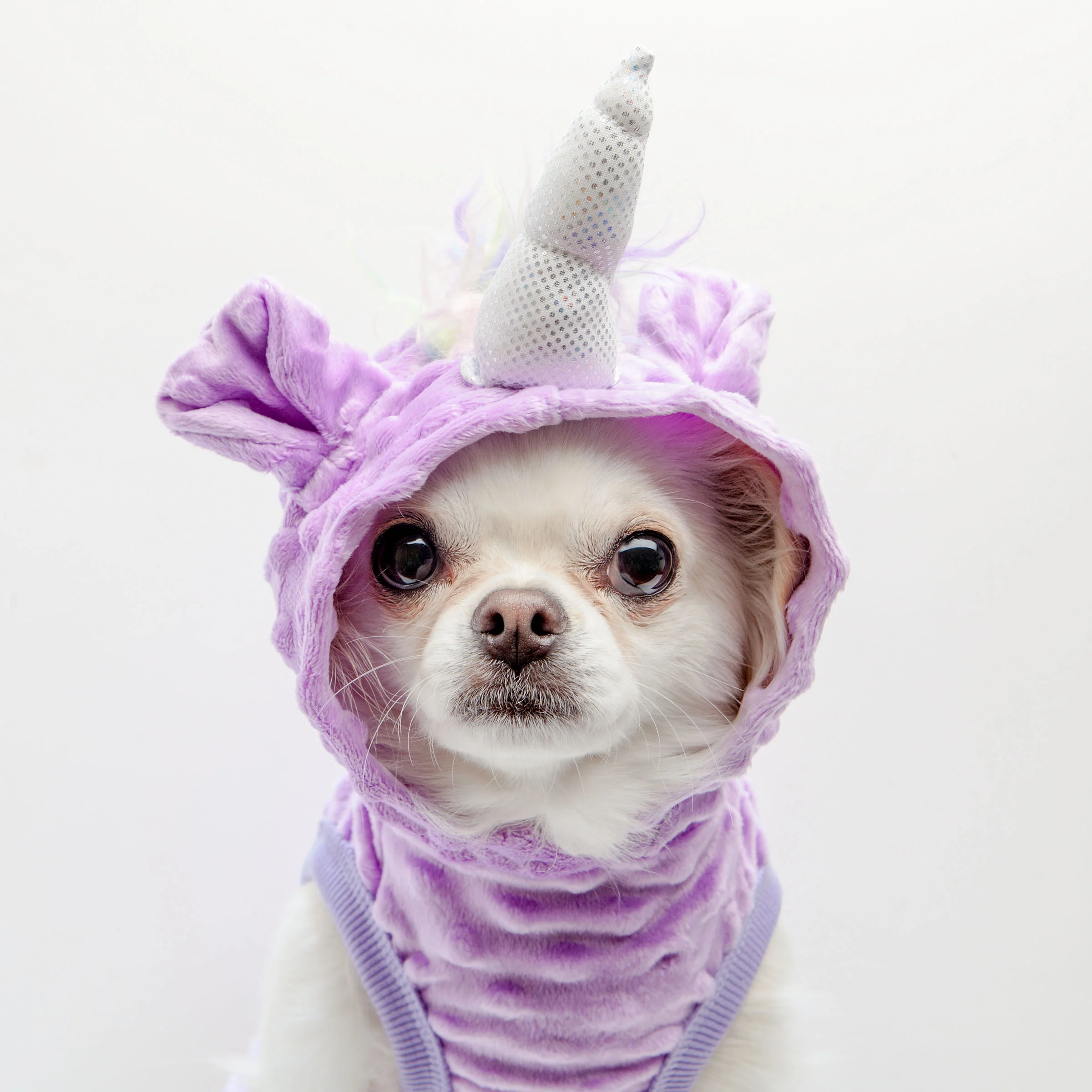 Unicorn Pullover (FINAL SALE) - Image 3
