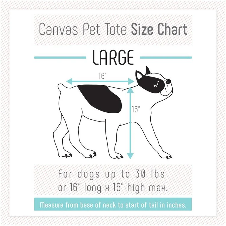 Canvas Pet Tote in Dark Grey (Made in USA) (Direct Ship) - Image 3
