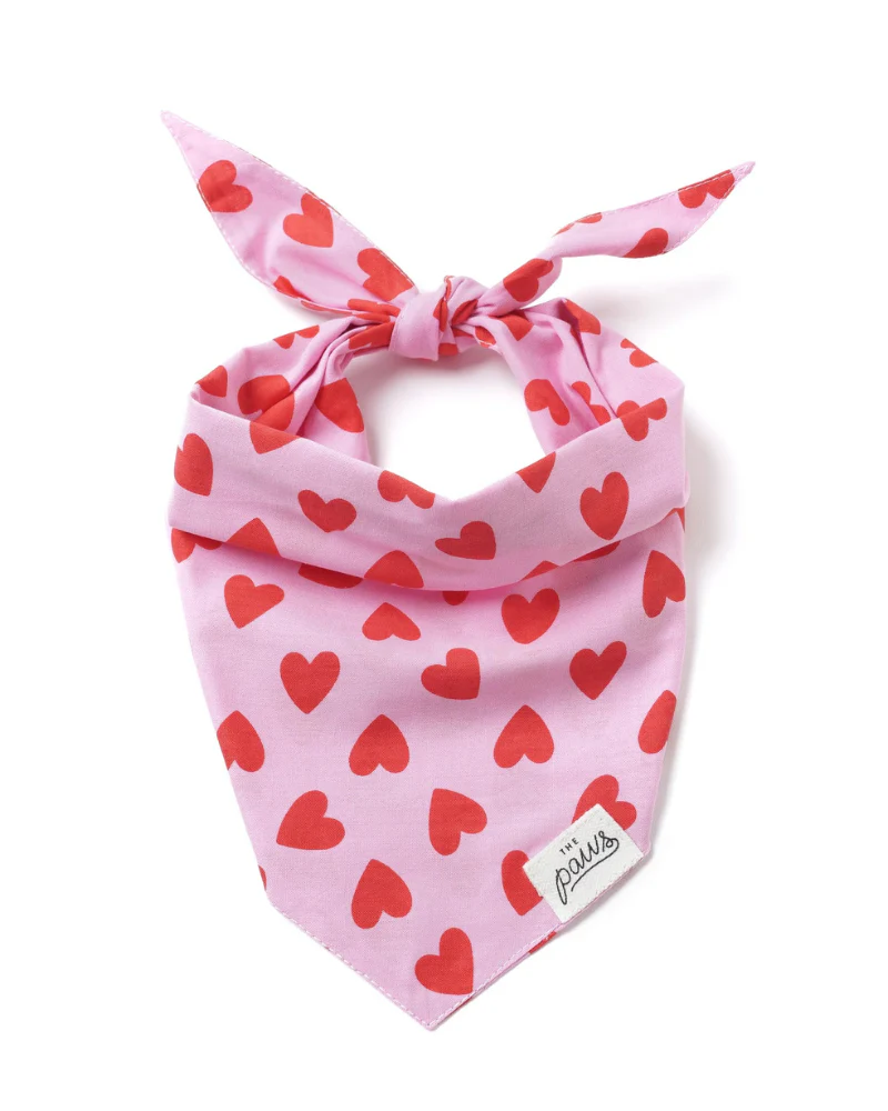 Lovesong Heart Dog Bandana (FINAL SALE) - Image 2