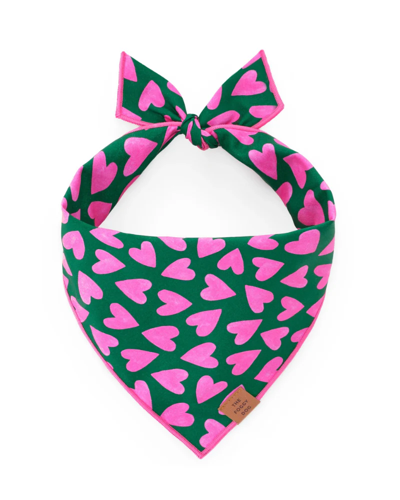 Lovestruck Dog Bandana (Made in the USA) - Image 2