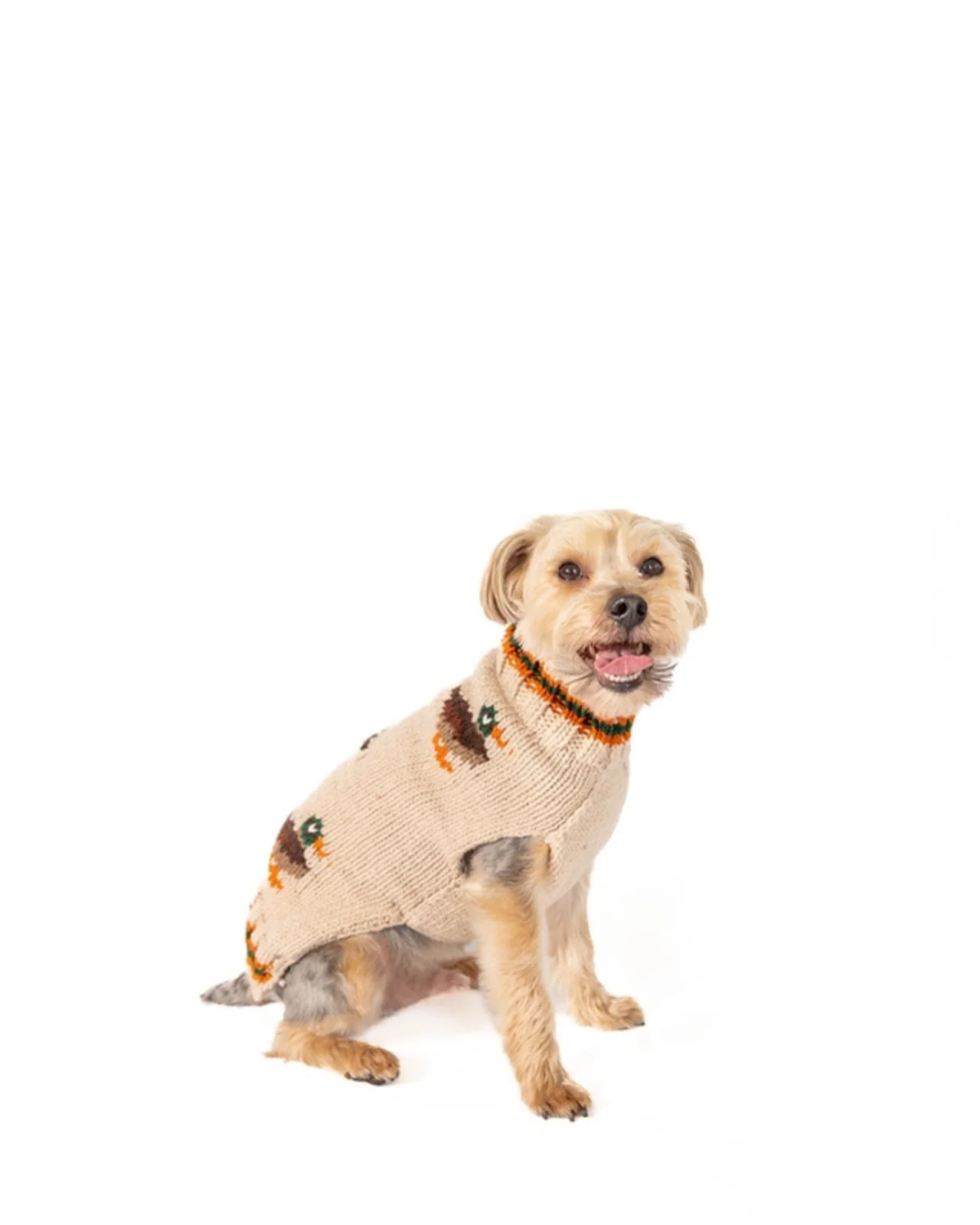 Lucky Duck Dog Sweater - Image 2