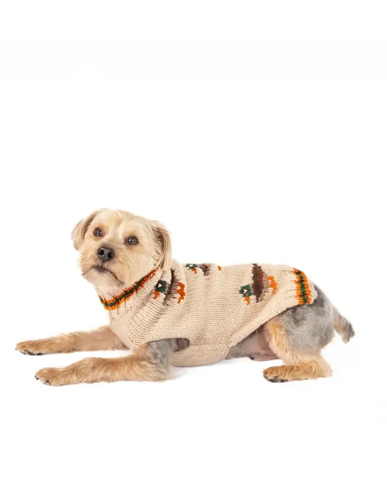 Lucky Duck Dog Sweater - Image 3