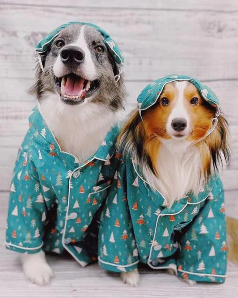 Santa Land Dog Pajamas (+ Matching Human Eye Mask) (CLEARANCE) - Image 2