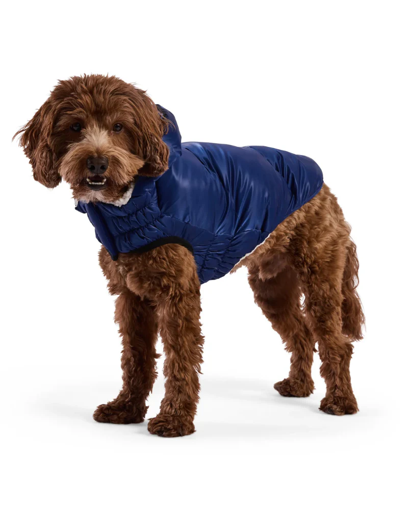 Lunar Glow Dog Parka in Blue - Image 5