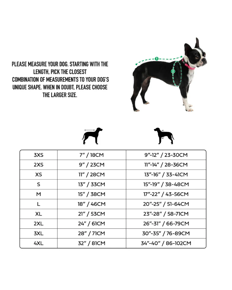 Lunar Glow Dog Parka in Blue - Image 7
