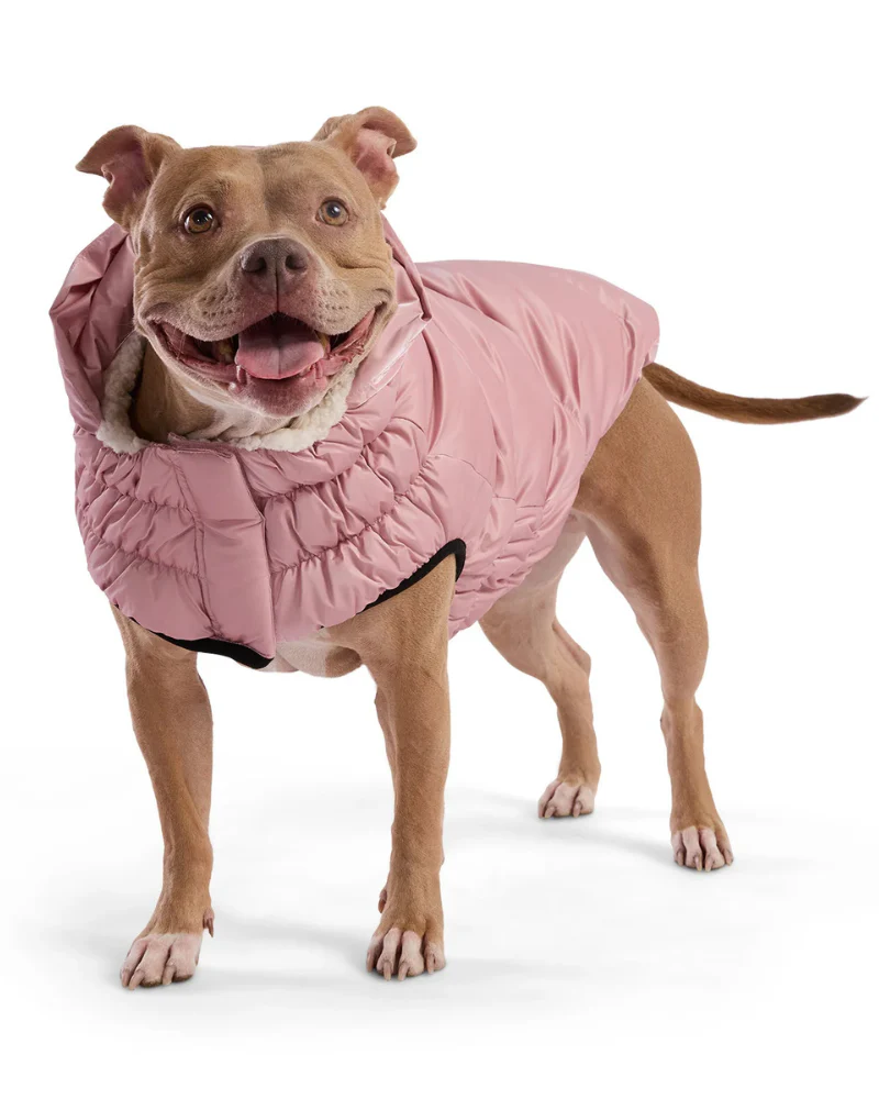 Lunar Glow Dog Parka in Pink - Image 4