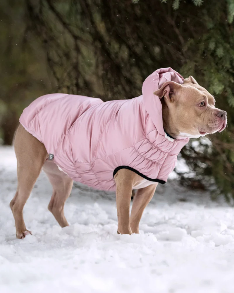 Lunar Glow Dog Parka in Pink - Image 7
