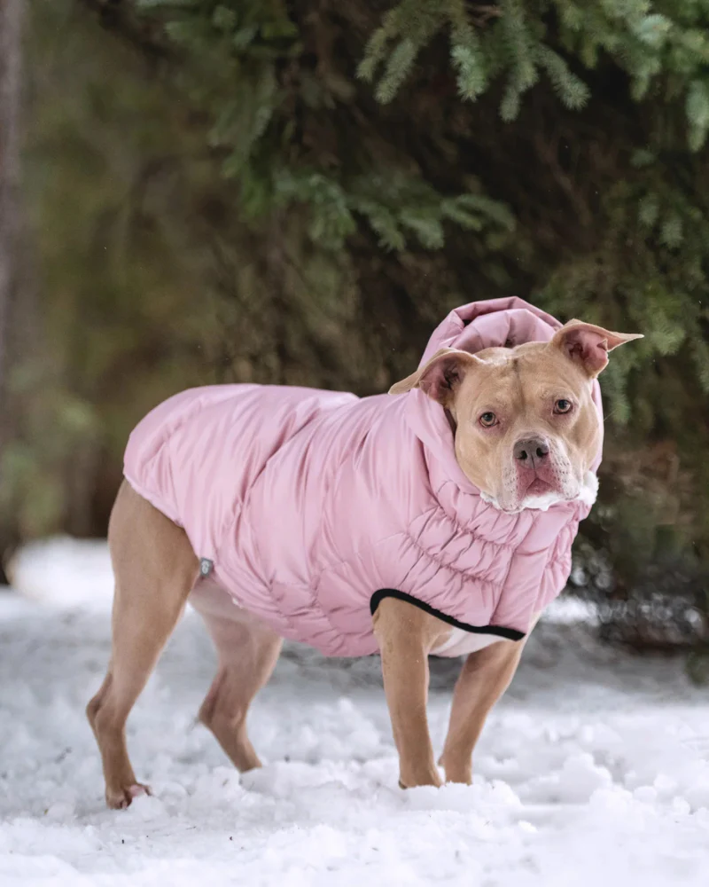 Lunar Glow Dog Parka in Pink - Image 8