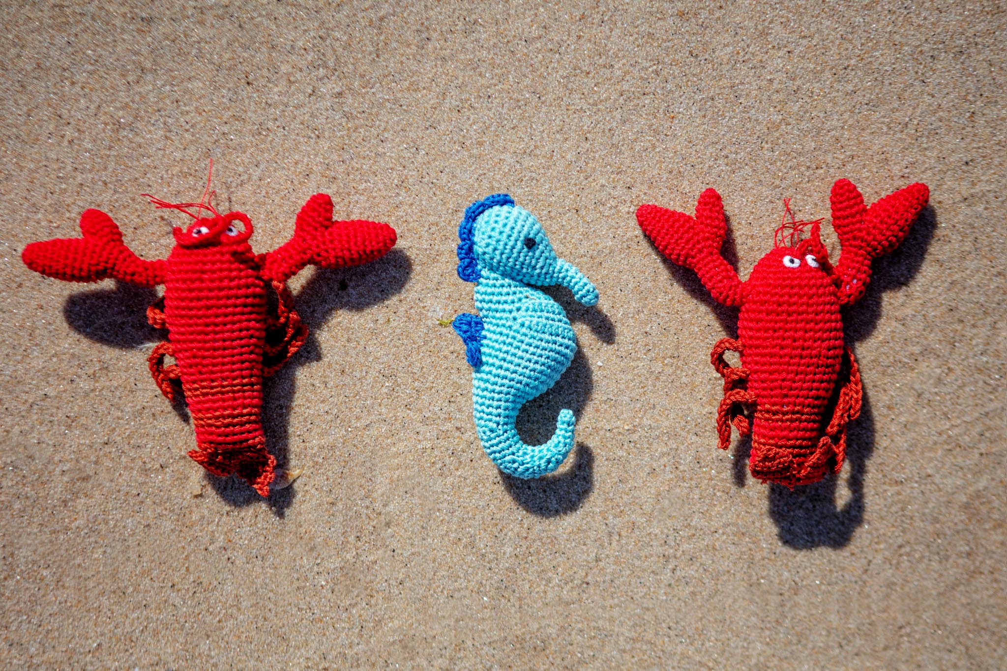 Lurch the Lobster Organic Knit Squeaky Dog Toy - Image 2