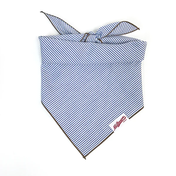 M.N. DAVIS & SON | Dog Bandana in Navy Pinstripe - Image 3