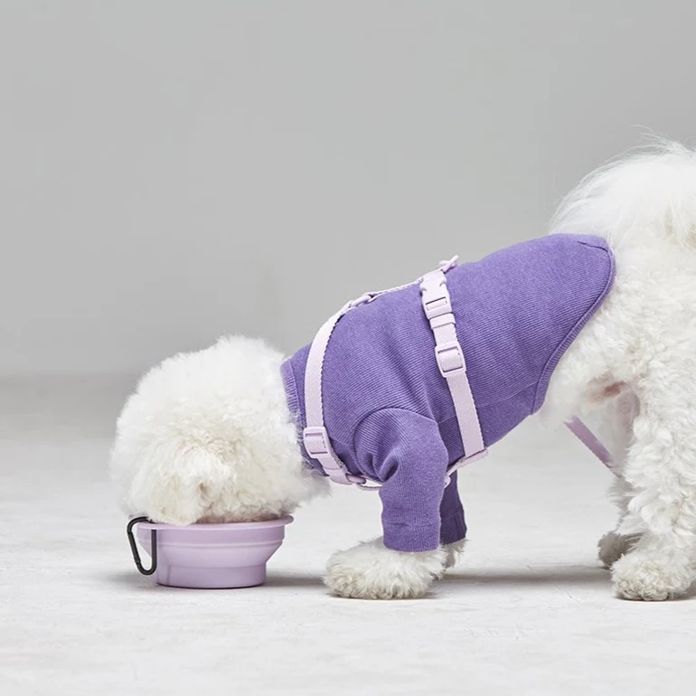 Macaron Collapsible Silicone Pet Bowl in Lavender - Image 4