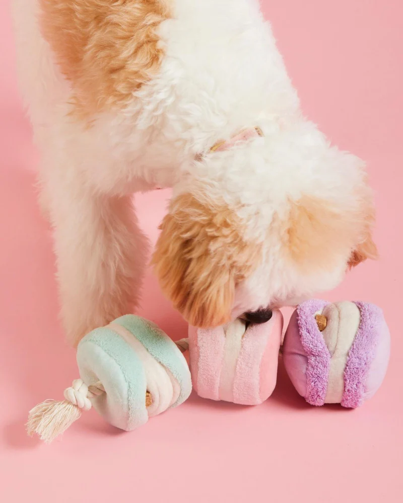 Macarons Interactive Snuffle Dog Toy (FINAL SALE) - Image 2