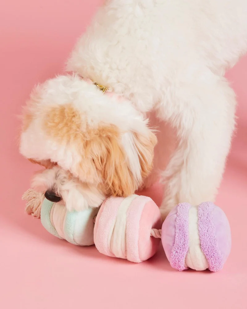 Macarons Interactive Snuffle Dog Toy (FINAL SALE) - Image 3