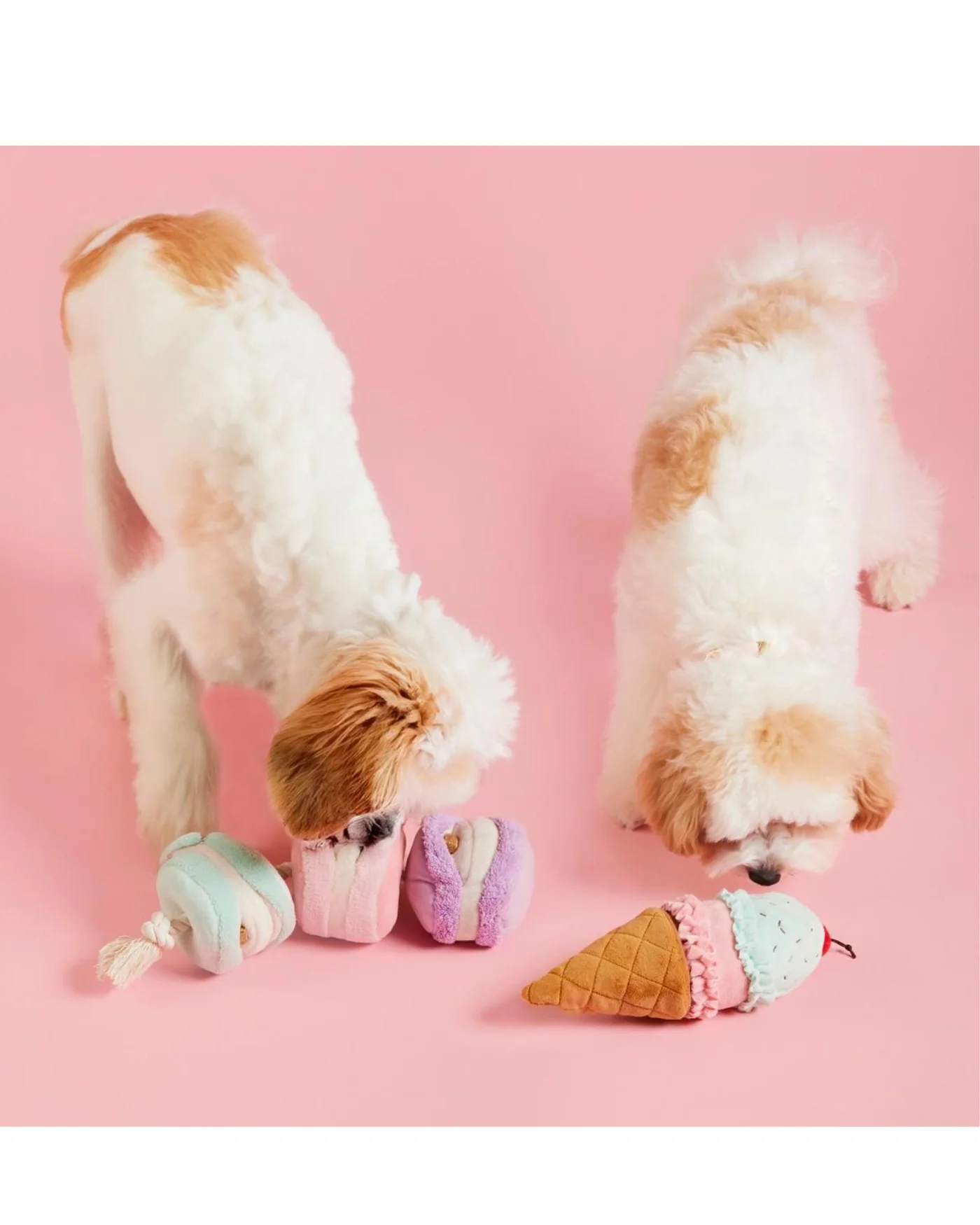 Macarons Interactive Snuffle Dog Toy (FINAL SALE) - Image 7