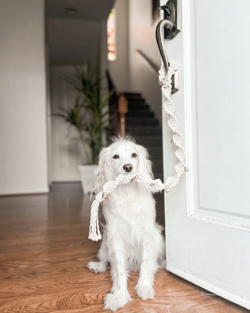 Macrame Dog Potty Bells (Made in the USA) - Image 2
