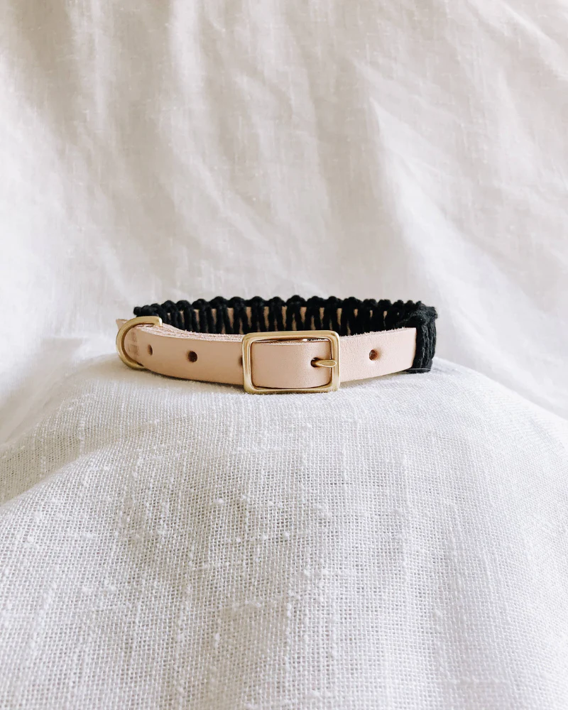 Macrame & Leather Dog Collar in Black w/ Natural (Made in the USA) - Image 5