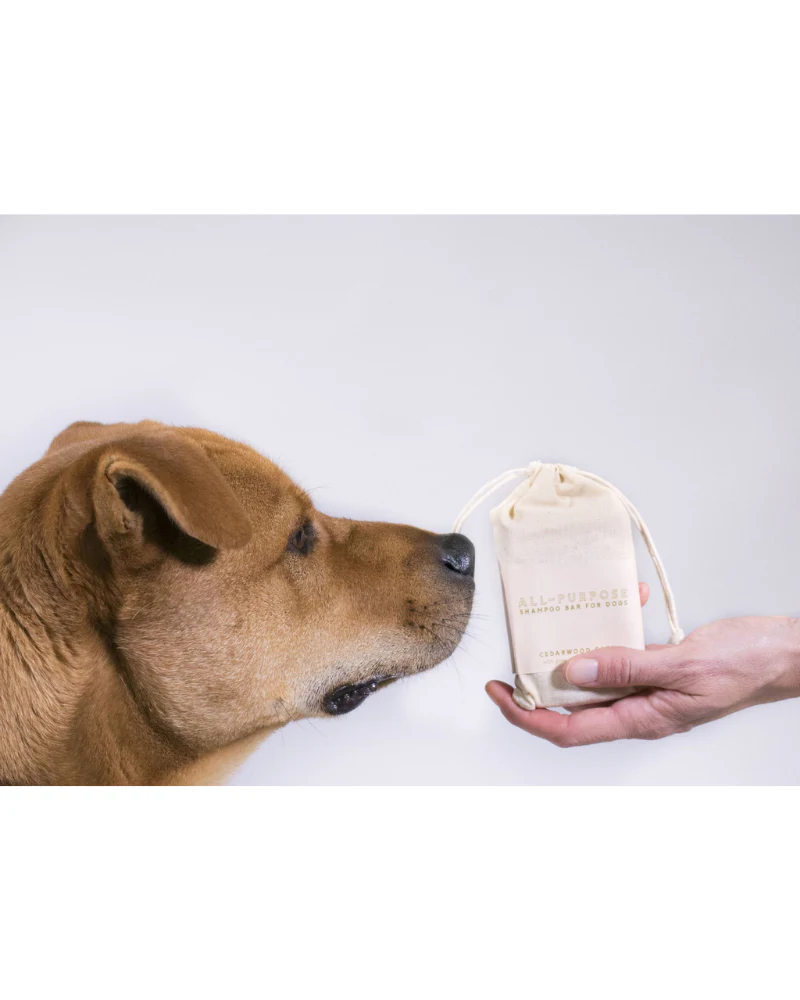 All-Purpose Bar Shampoo for Dogs << CLEARANCE >> - Image 5