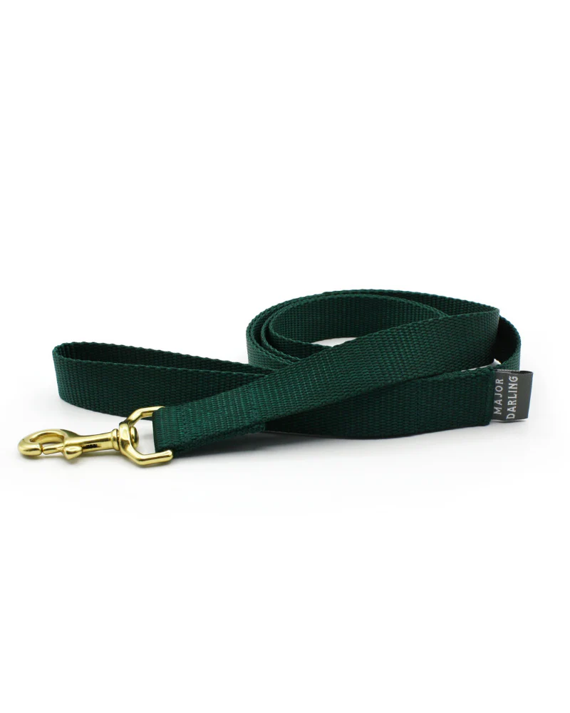 Basic Nylon Dog Leash in Evergreen (Made in the USA) - Image 2
