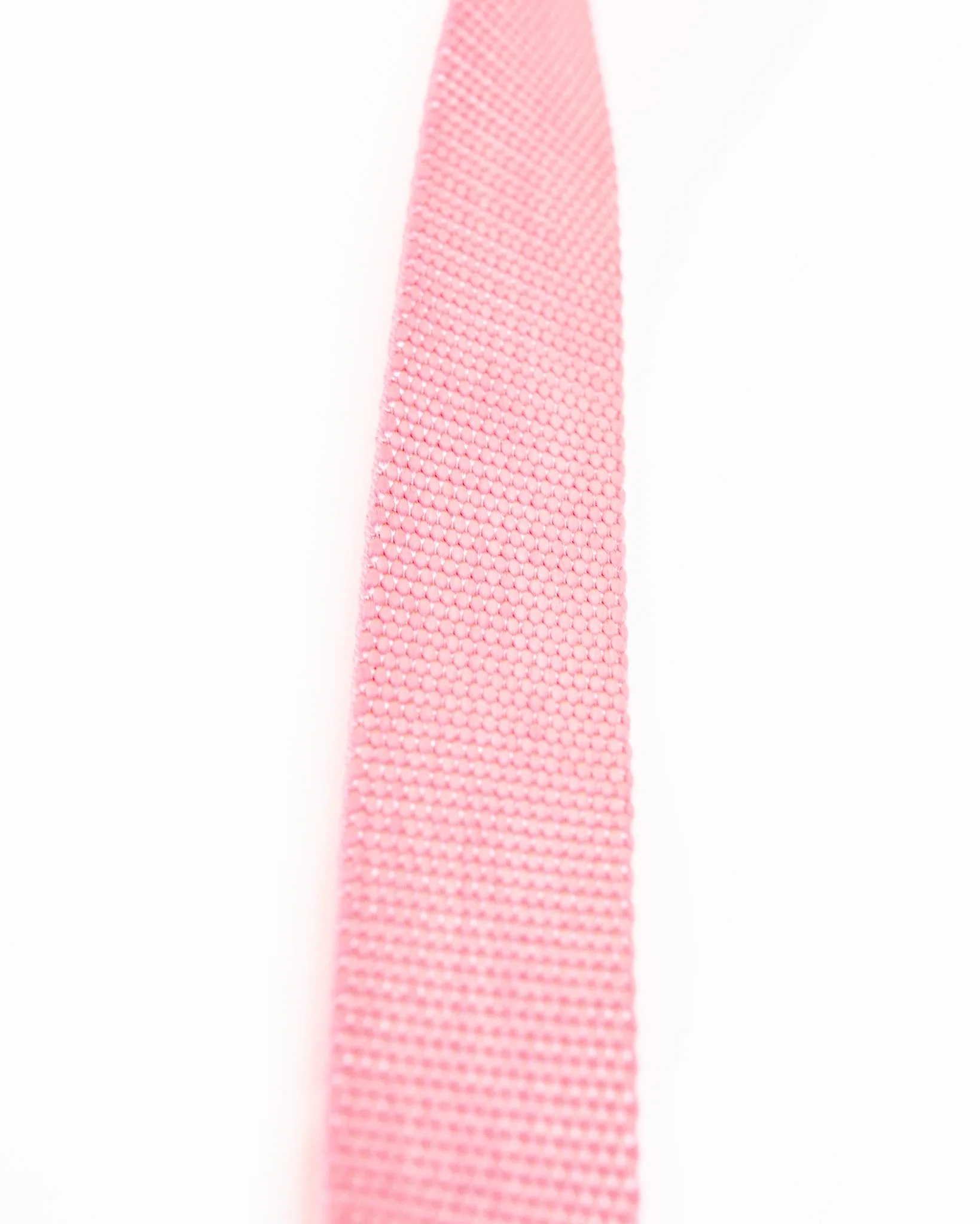 Basic Nylon Dog Leash in Pink (Made in the USA) - Image 2