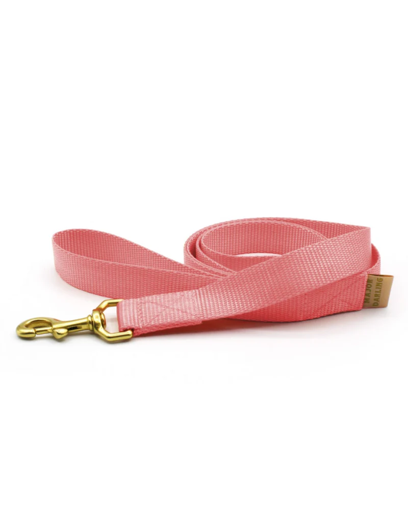 Basic Nylon Dog Leash in Pink (Made in the USA) - Image 3