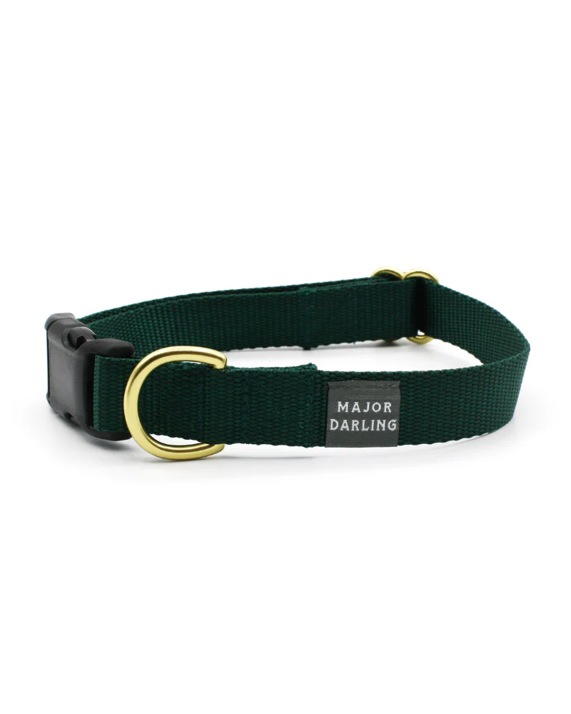 Side-Release Buckle Dog Collar in Evergreen (Made in the USA) (FINAL SALE) - Image 3