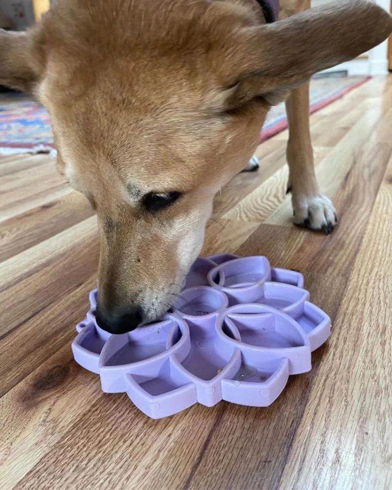Mandala Softie E-Tray Slow Feeder for Dogs (Made in the USA) - Image 4