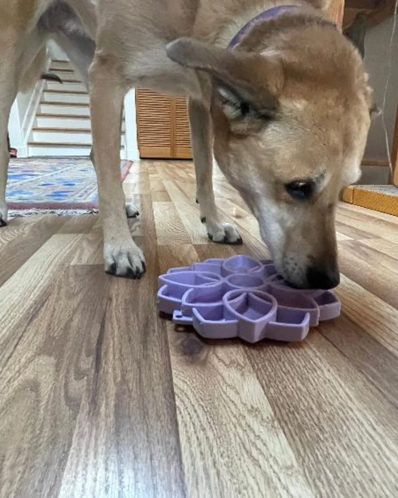 Mandala Softie E-Tray Slow Feeder for Dogs (Made in the USA) - Image 5