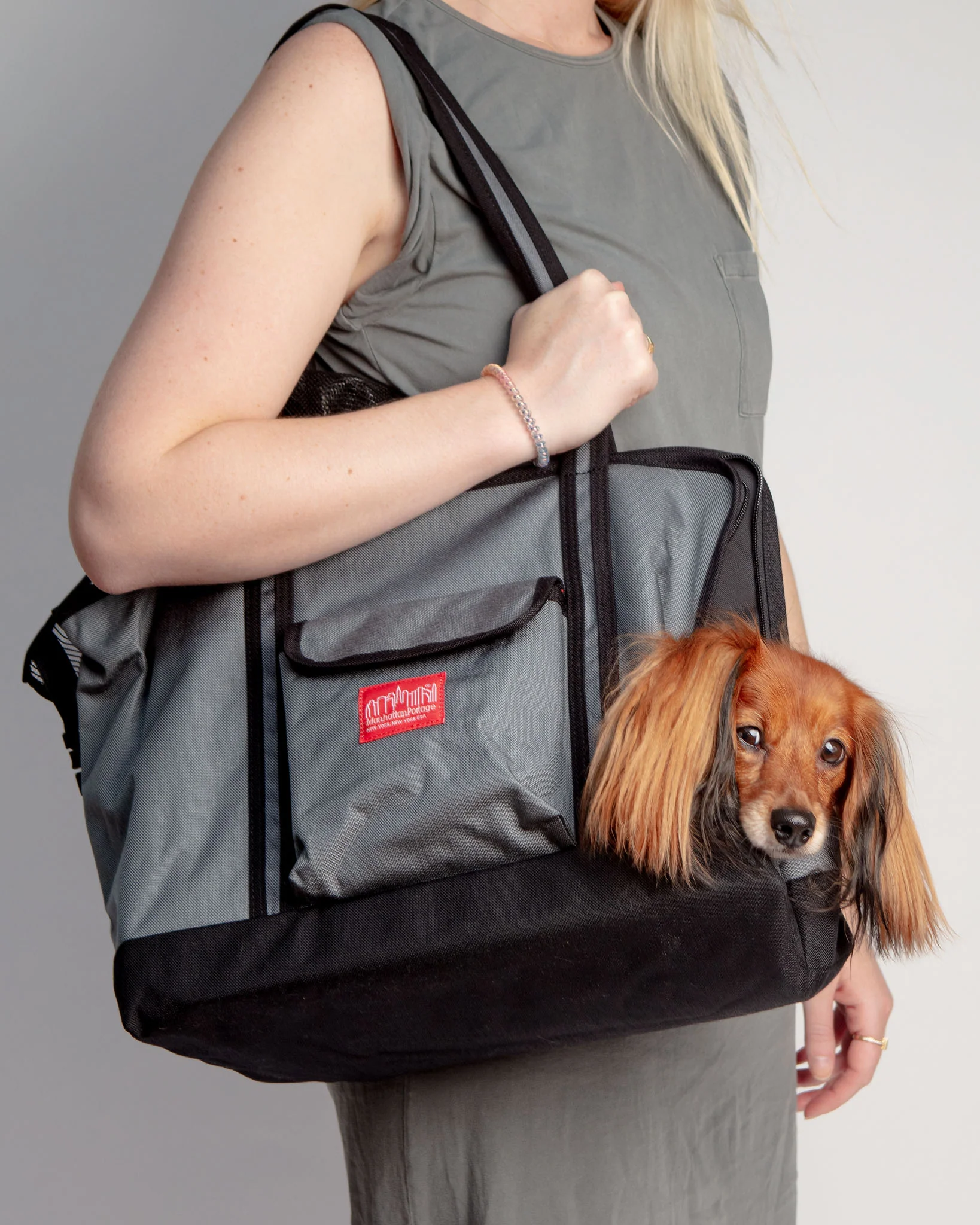 Open or Closed Pet Tote Bag in Grey (Small)