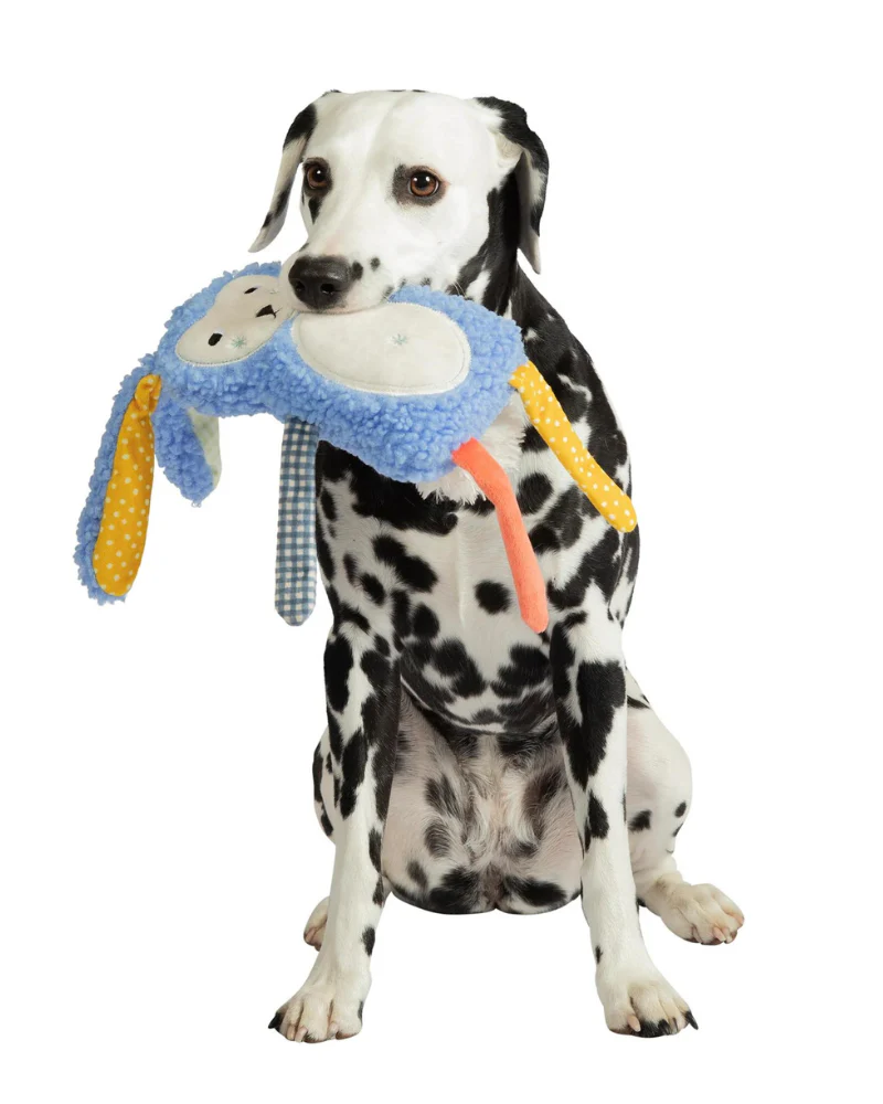 Squinkles Sunny Bunny Squeaky Dog Toy - Image 6