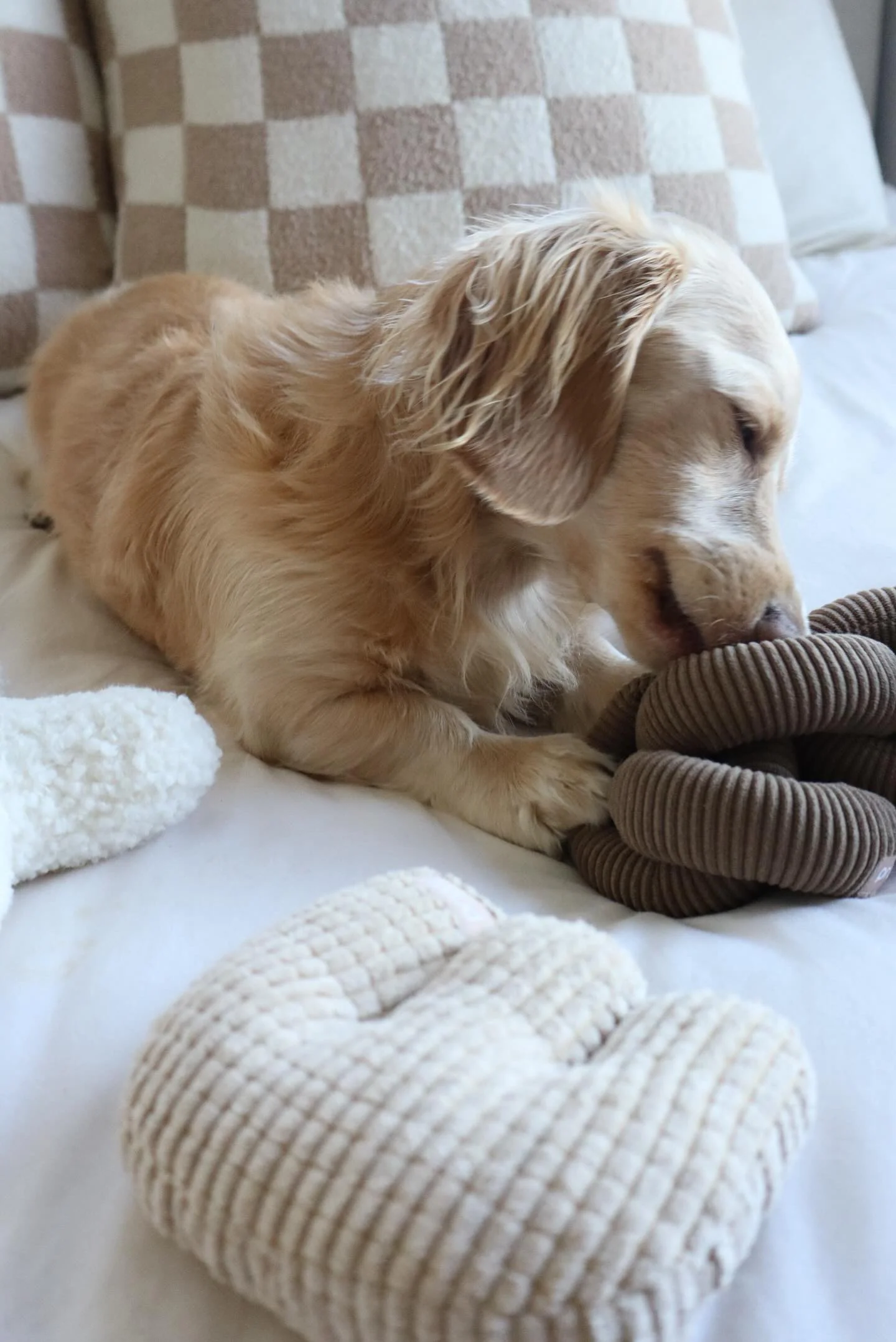 Many Links Plush Dog Toy (No Squeak) - Image 6