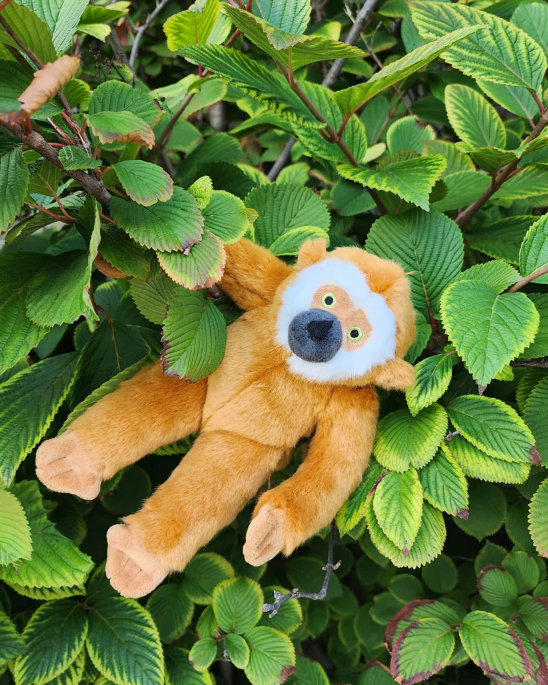 Marcel the Monkey Plush Squeaky Dog Toy - Image 5