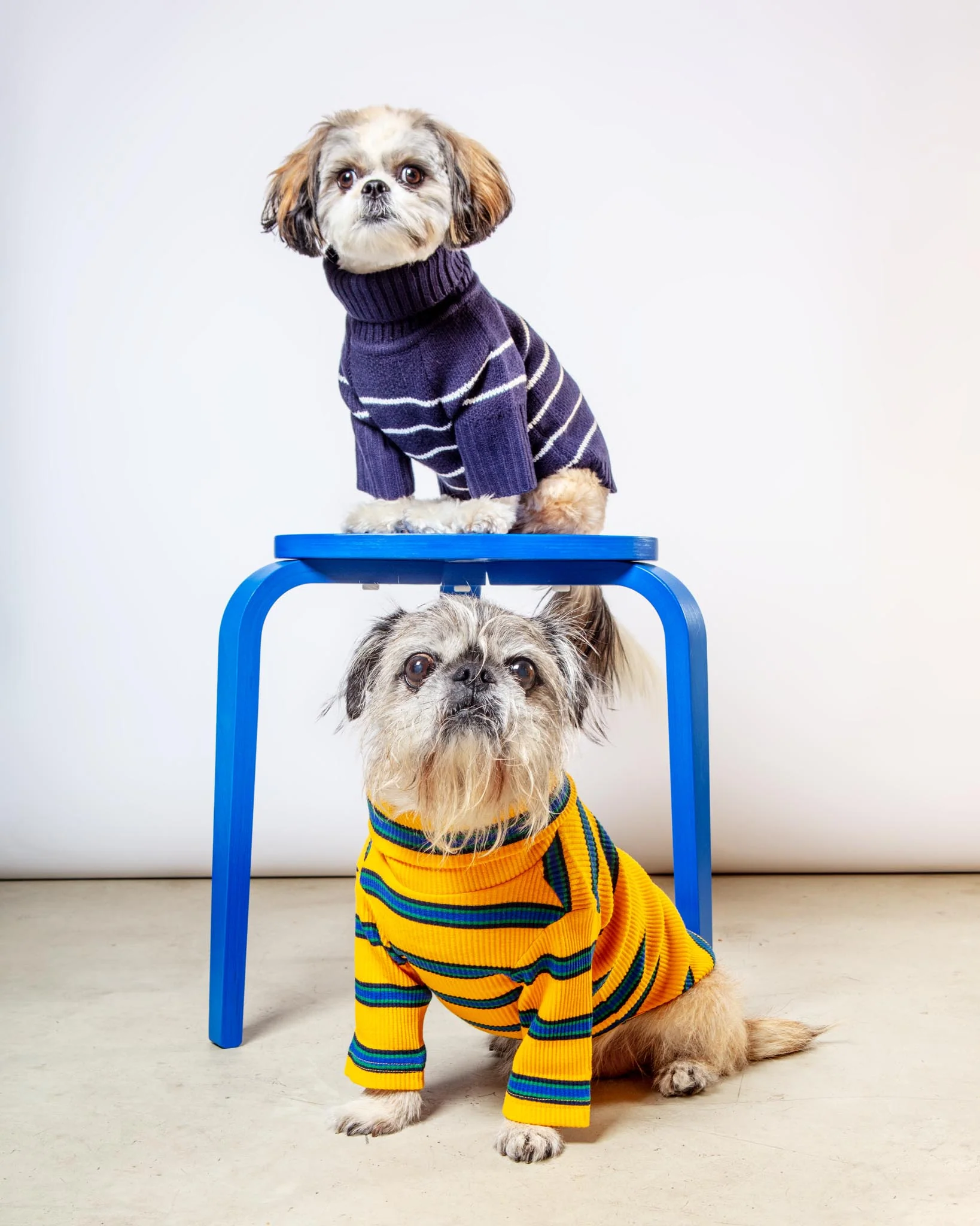 Mariner Stripe Dog Sweater (FINAL SALE) - Image 5