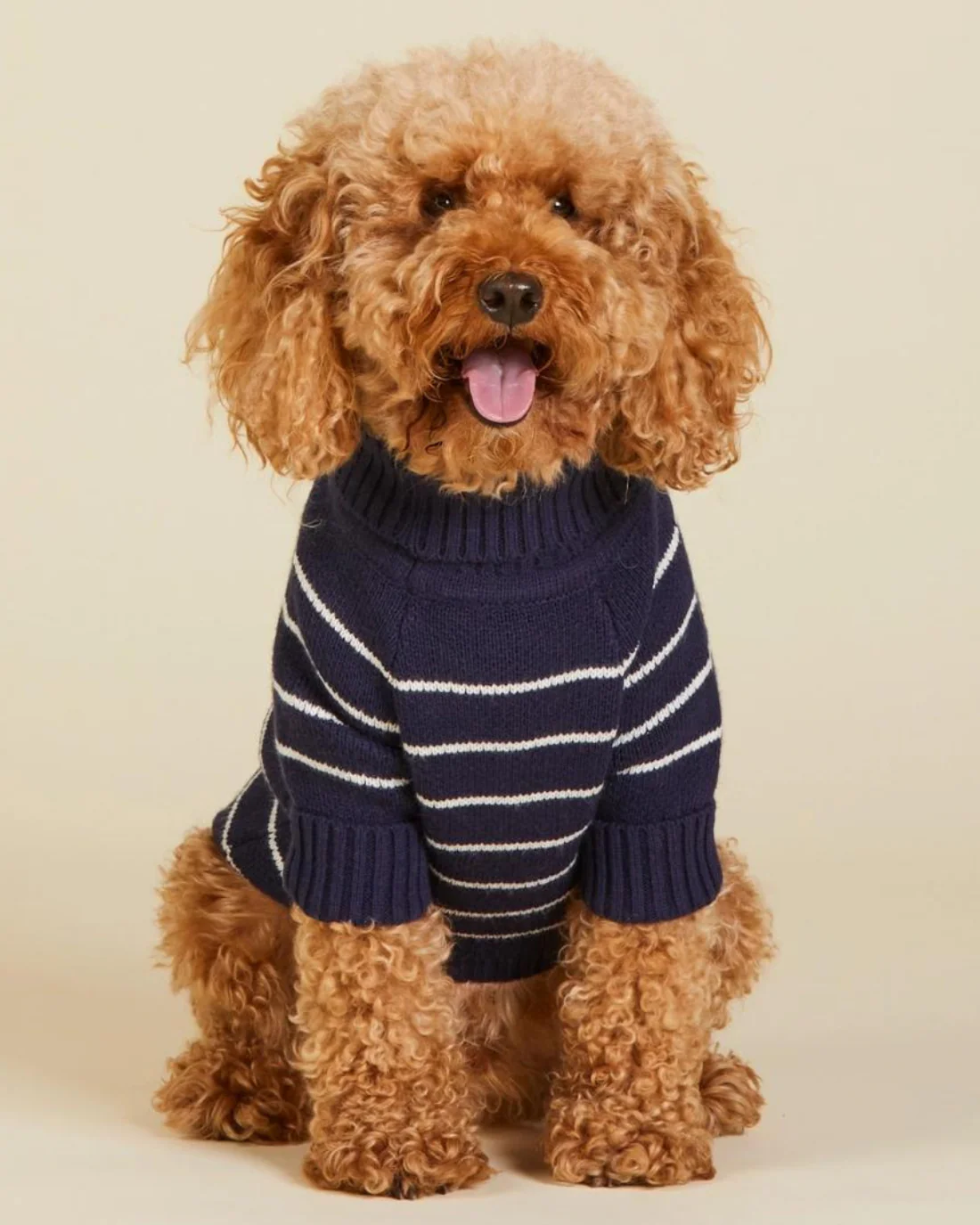 Mariner Stripe Dog Sweater (FINAL SALE) - Image 7