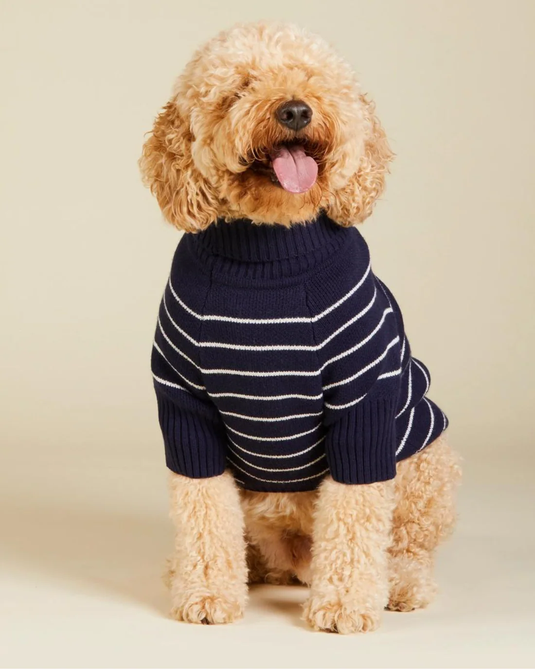 Mariner Stripe Dog Sweater (FINAL SALE) - Image 8