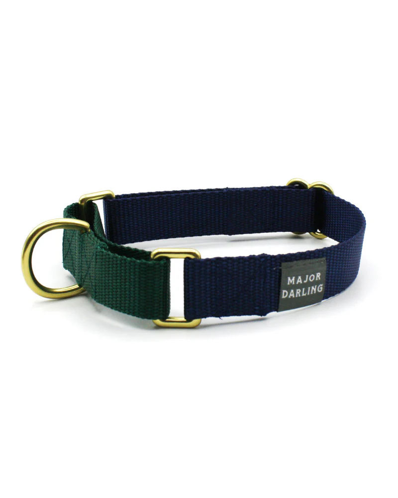 Martingale Dog Collar in Navy + Evergreen (Made in the USA) - Image 3