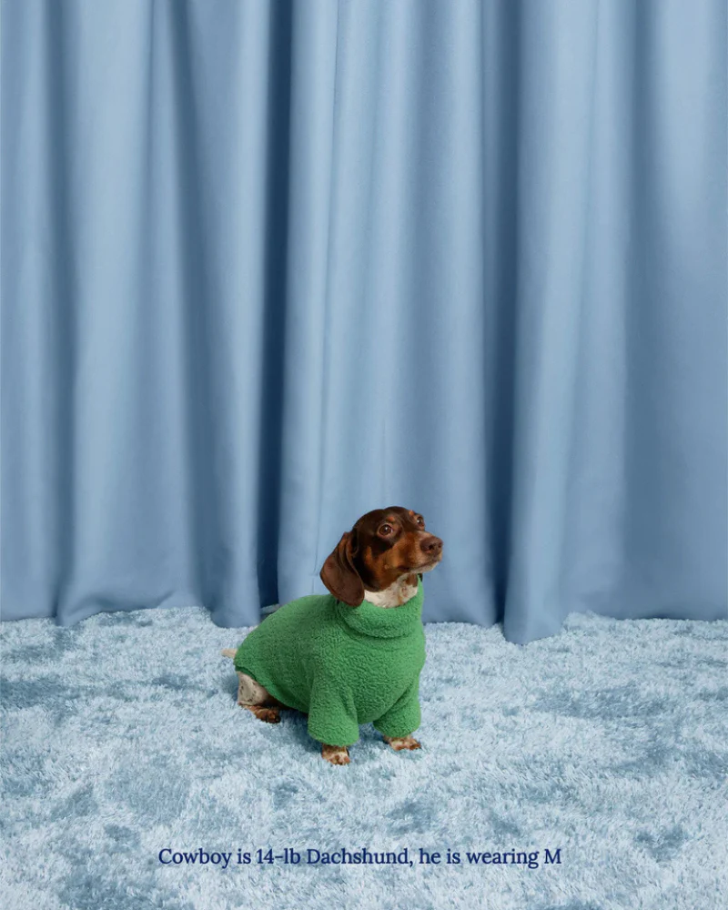 Mary Jane Fleece Dog Sweatshirt - Image 3