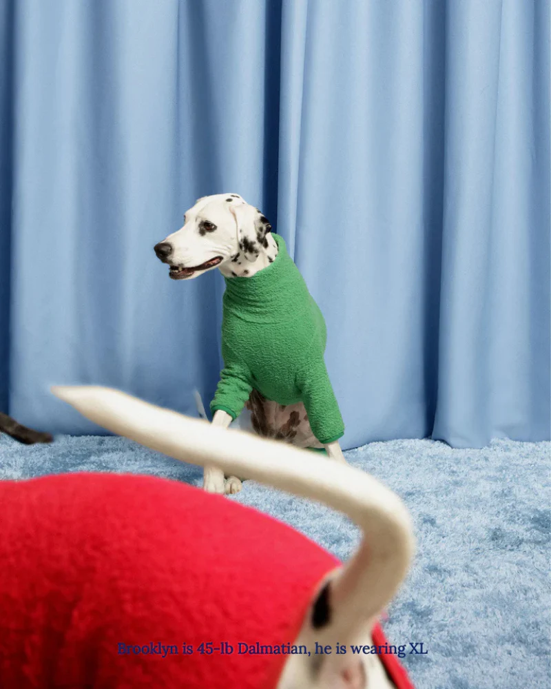 Mary Jane Fleece Dog Sweatshirt - Image 4