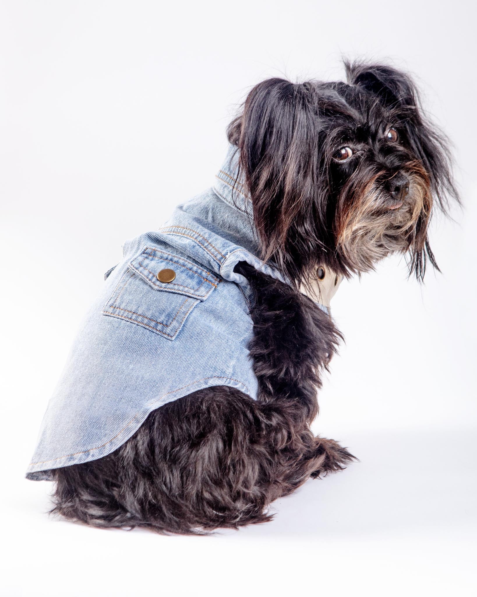 Maverick Denim Dog Shirt (FINAL SALE) - Image 2