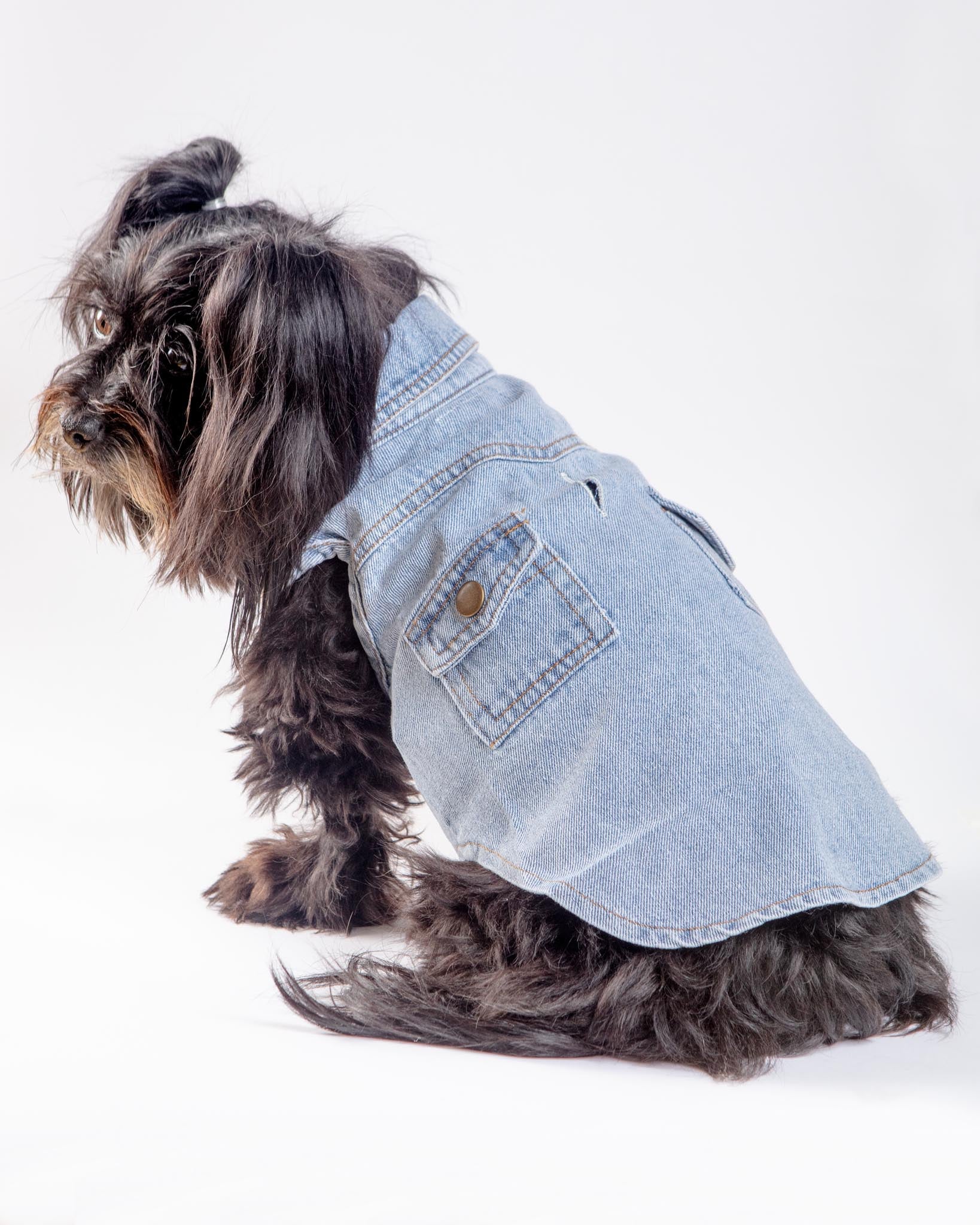 Maverick Denim Dog Shirt (FINAL SALE) - Image 6