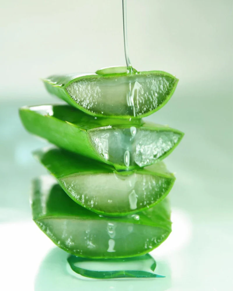 Biodegradable Aloe Pet Wipes - Image 8
