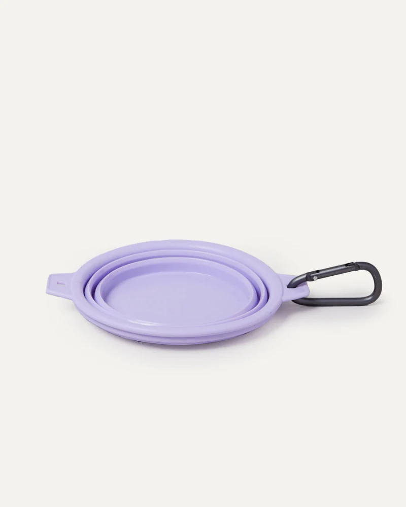 Rubber Collapsible Travel Dog Bowl (Single) - Image 9