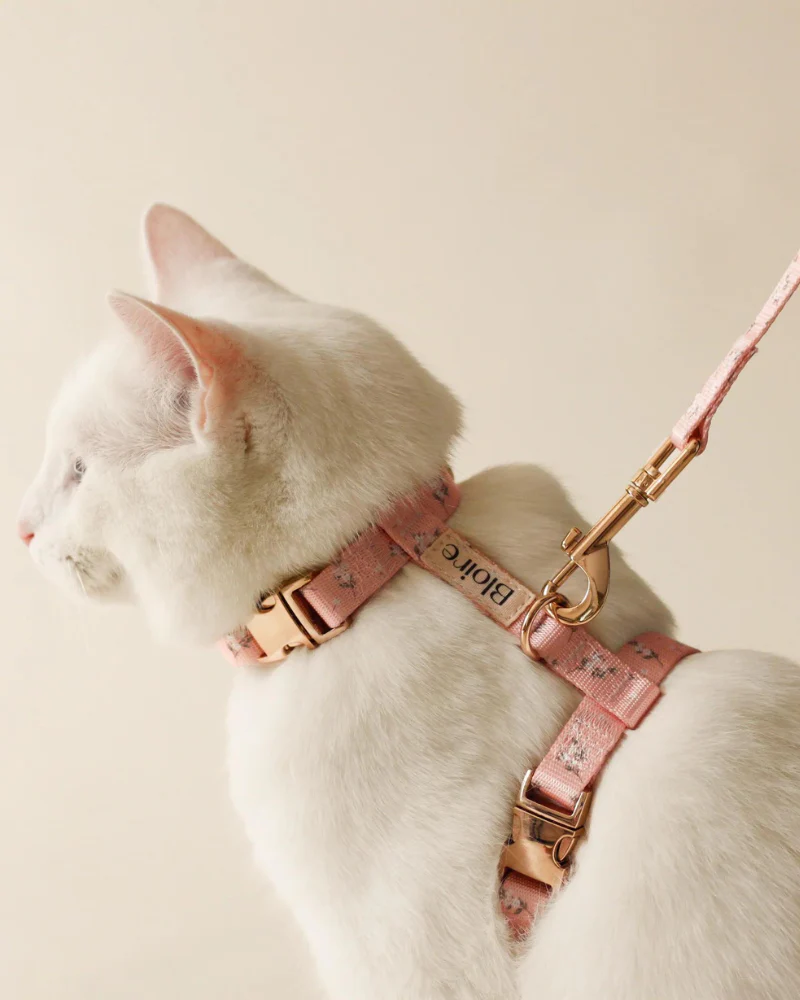 Meadow Matching Cat Harness & Leash Set