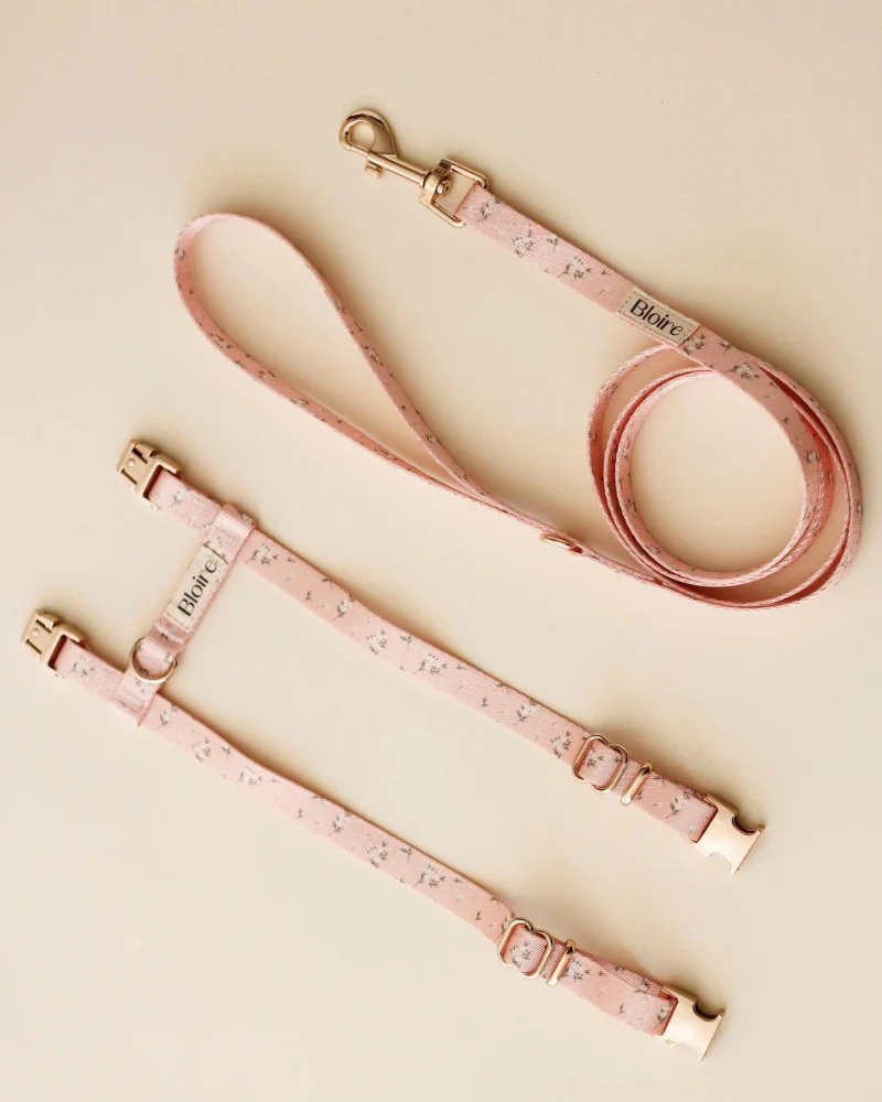 Meadow Matching Cat Harness & Leash Set - Image 2