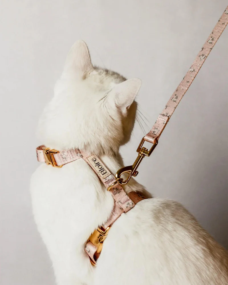 Meadow Matching Cat Harness & Leash Set - Image 3