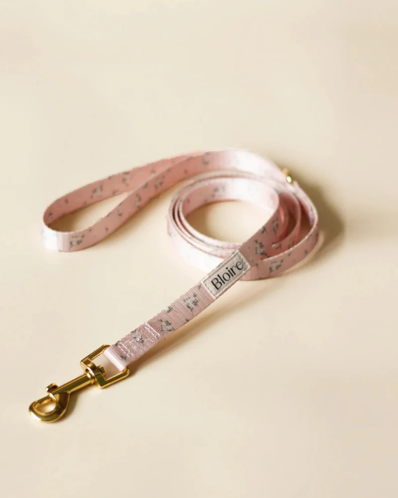 Meadow Matching Cat Harness & Leash Set - Image 4