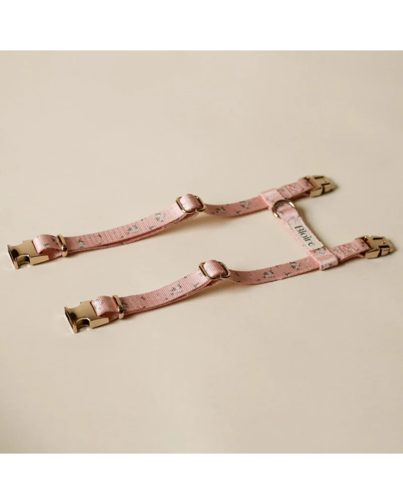 Meadow Matching Cat Harness & Leash Set - Image 5