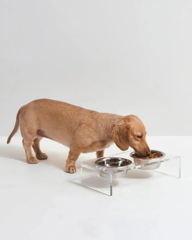 Clear Lucite Double Bowl Pet Feeder (Made in the USA) (Direct-Ship) - Image 16